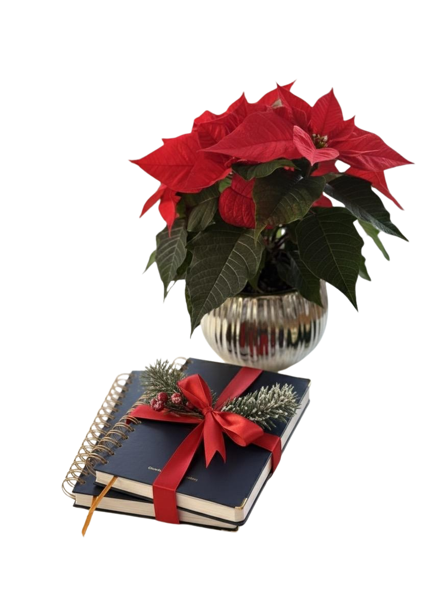 Two-volume PLANNER 2026 set showing Volume I and Volume II